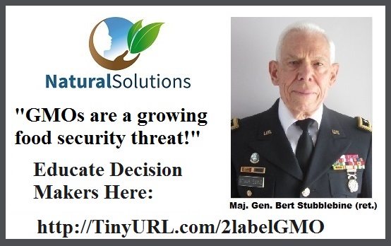 Bert.GMO.banner