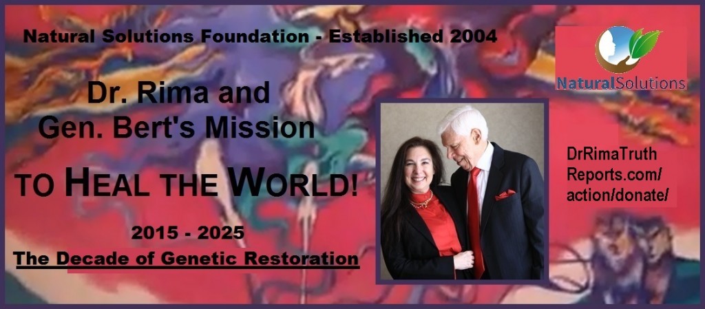 DecadeRestoration.donate.banner