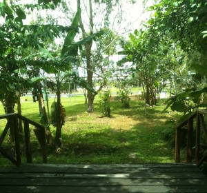Natural Solutions Center