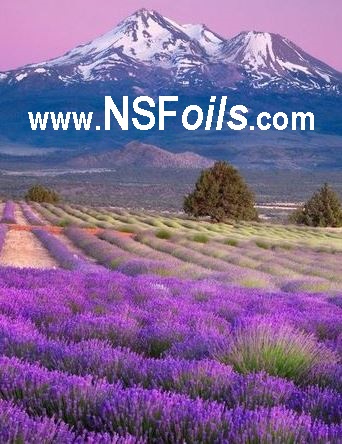 NSFoils-link
