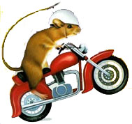 mousemcycl
