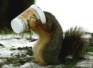 squirrel-with-coffee-cup